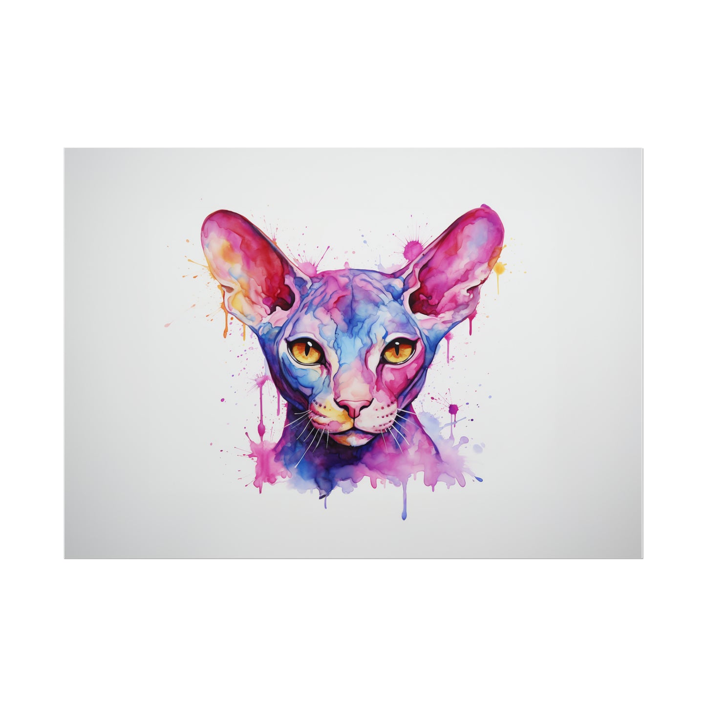 Rainbow Sphynx Cat