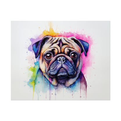 Rainbow Pug