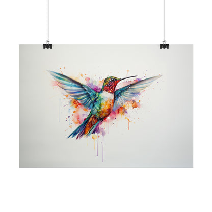 Rainbow Hummingbird