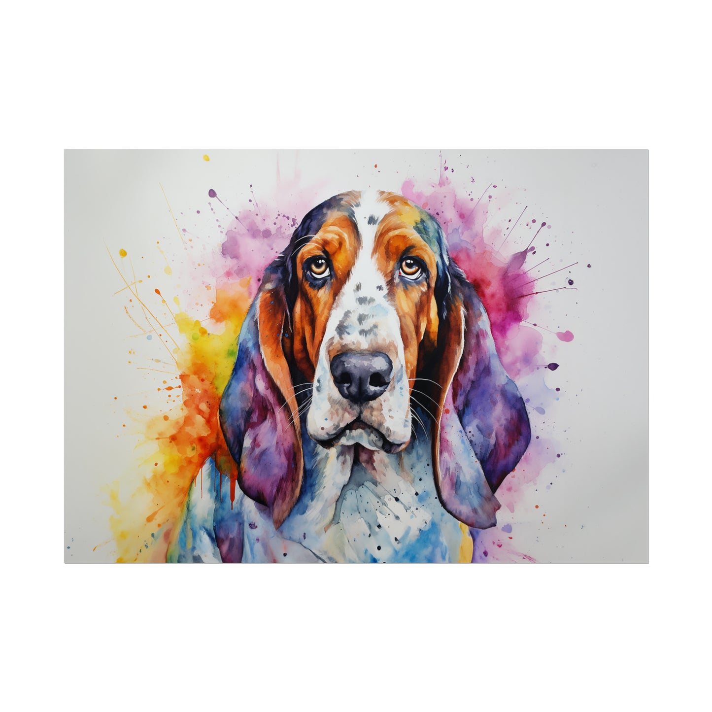 Rainbow Basset Hound