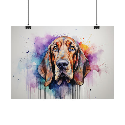 Rainbow Bloodhound