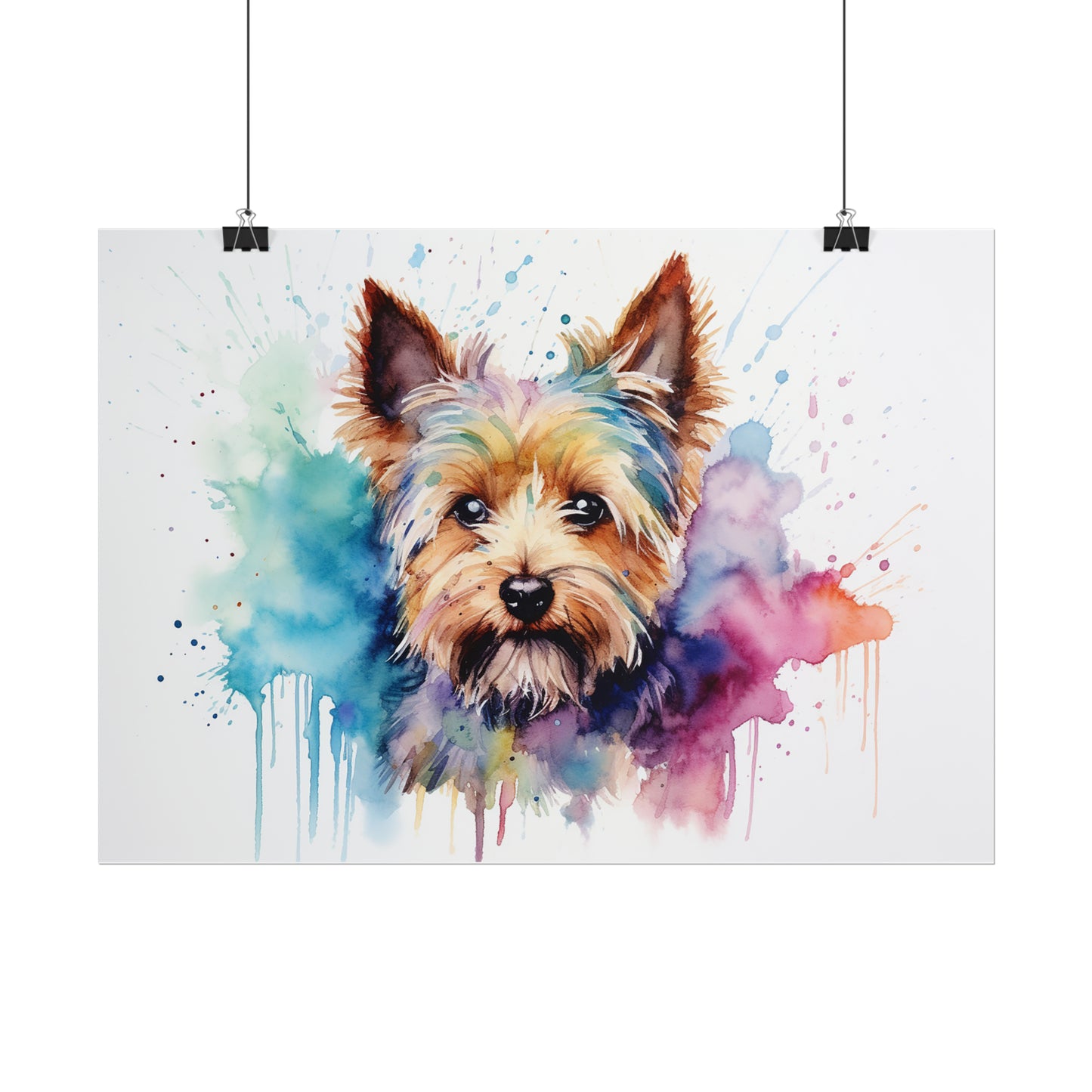 Rainbow Yorkshire Terrier