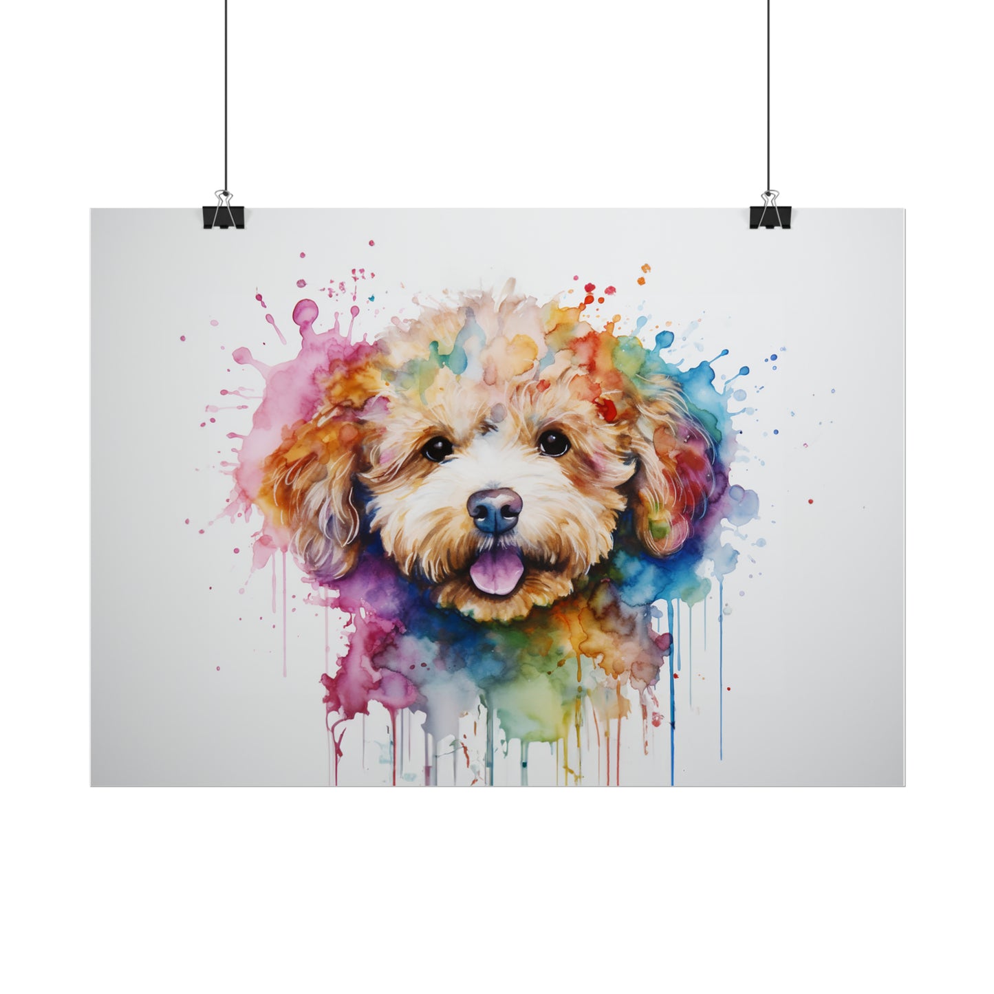 Rainbow Toy Poodle