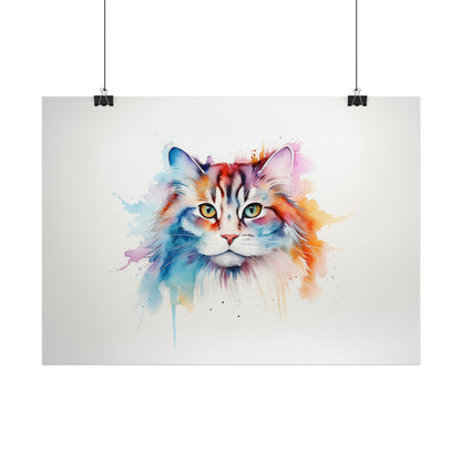 Rainbow Siberian Cat