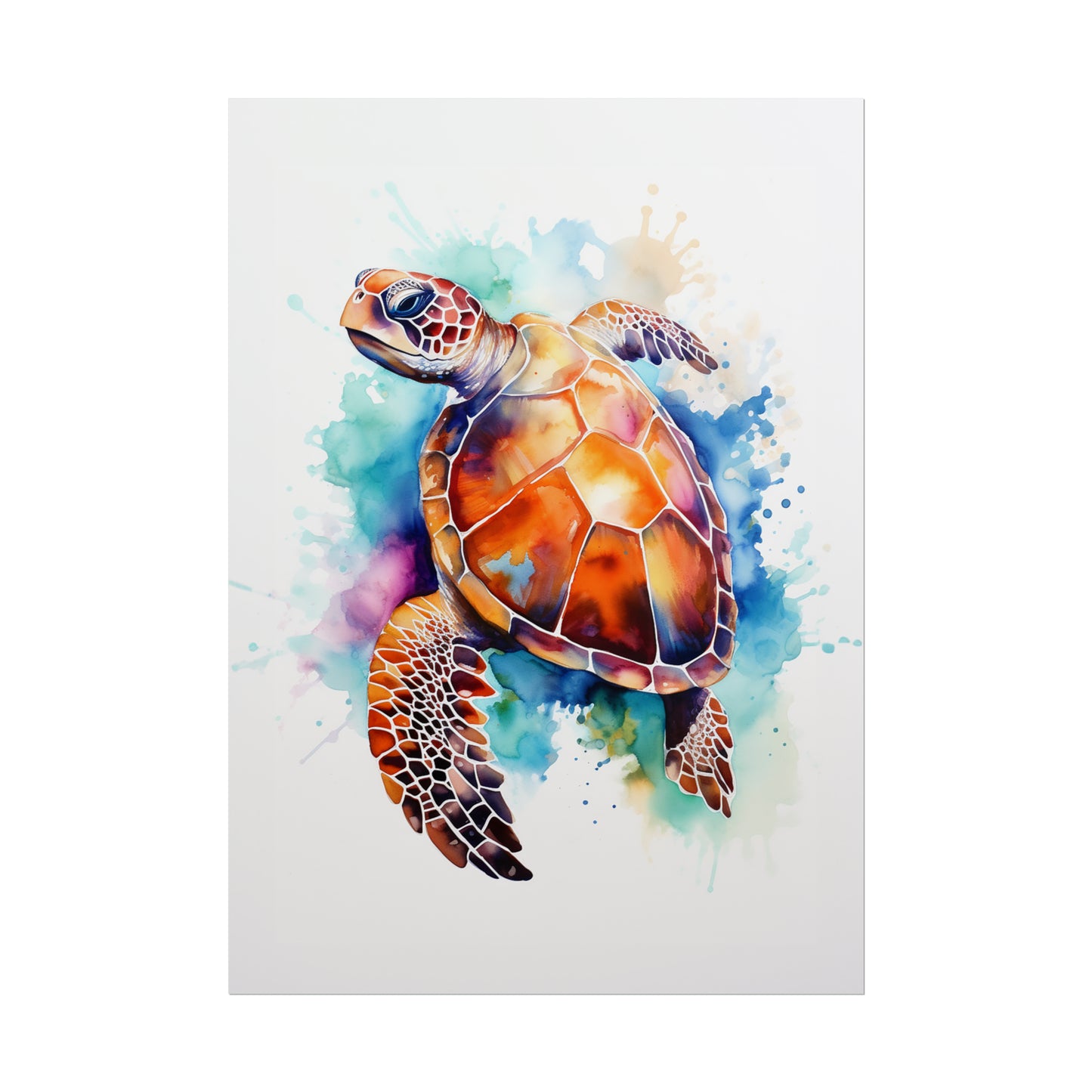 Rainbow Turtle