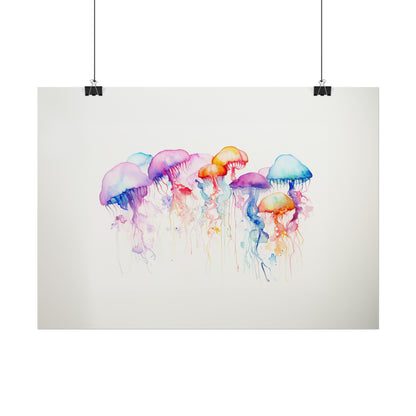 Rainbow Jellyfish