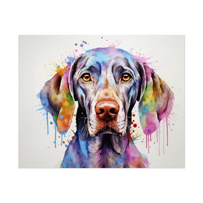 Rainbow Weimaraner