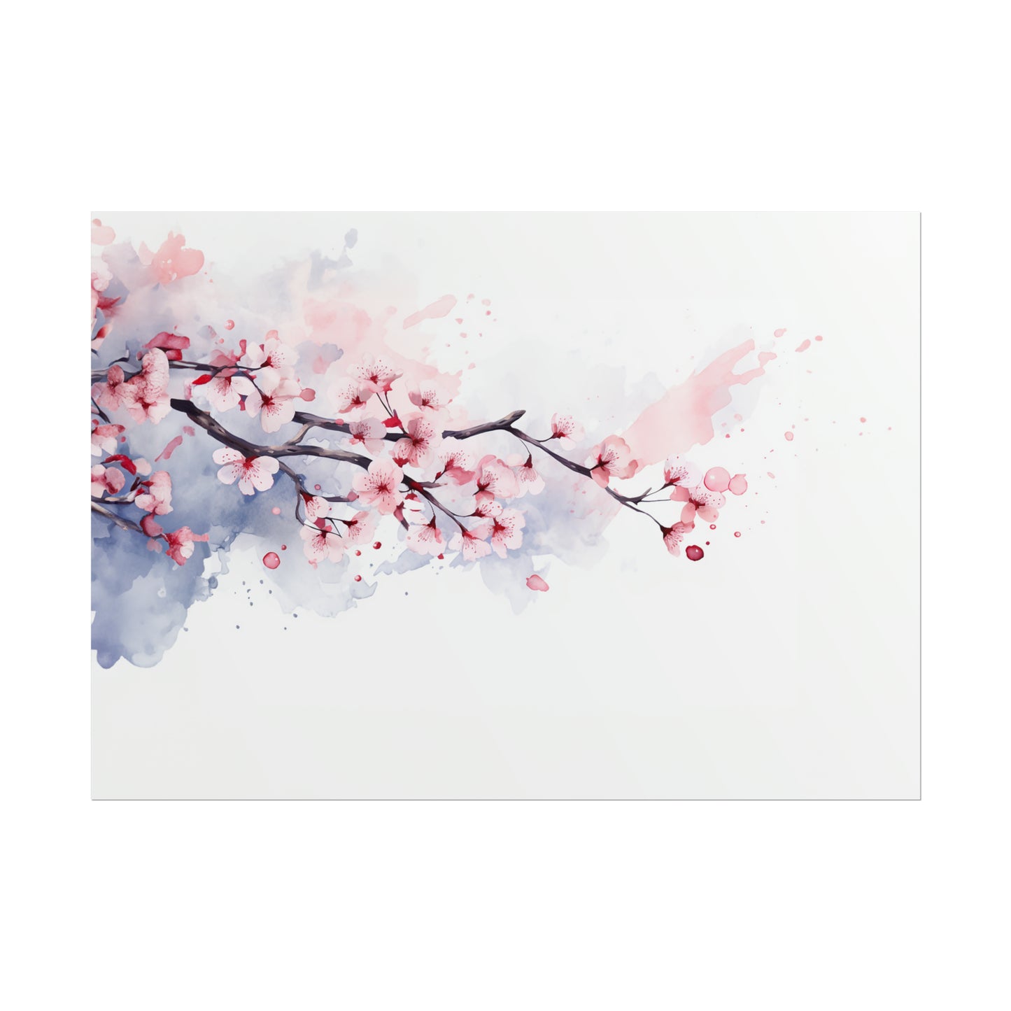 Cherry Blossoms