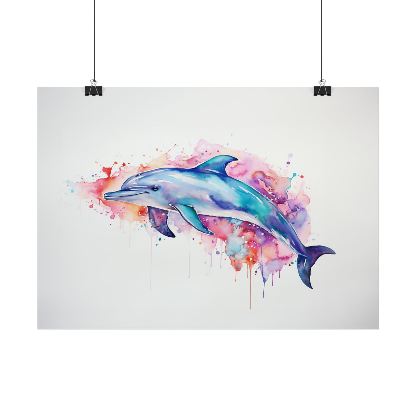 Rainbow Dolphin