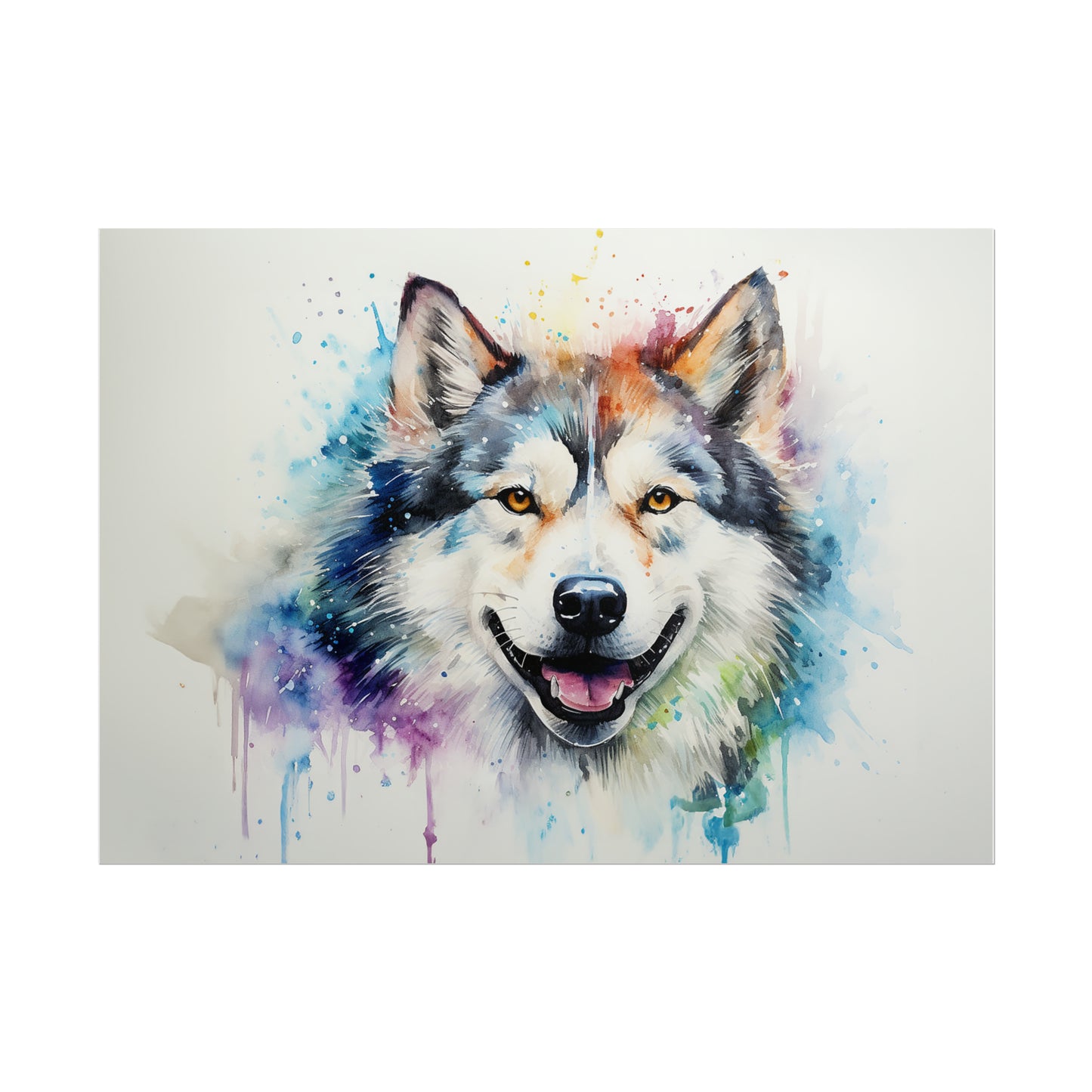 Rainbow Alaskan Malamute