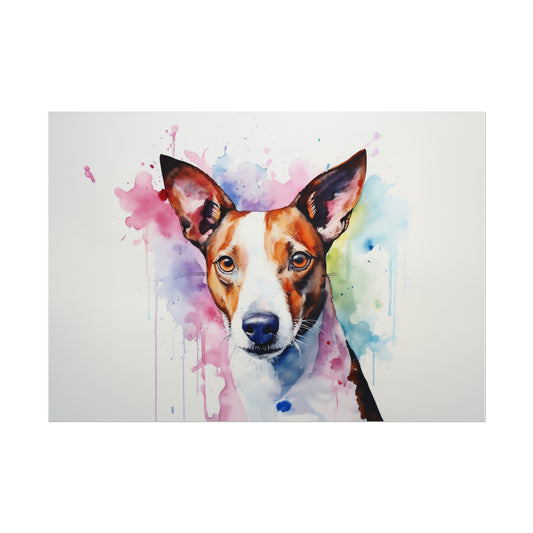 Rainbow Basenji