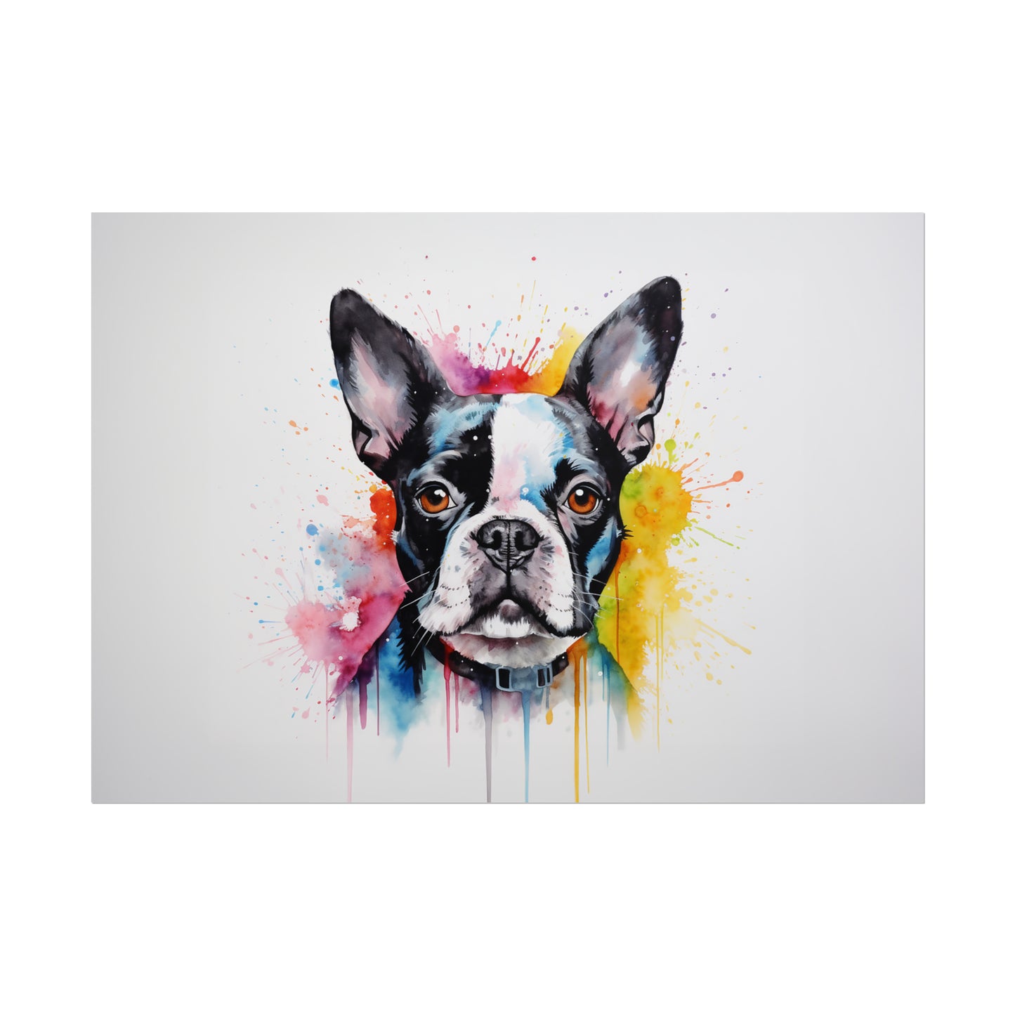 Rainbow Boston Terrier