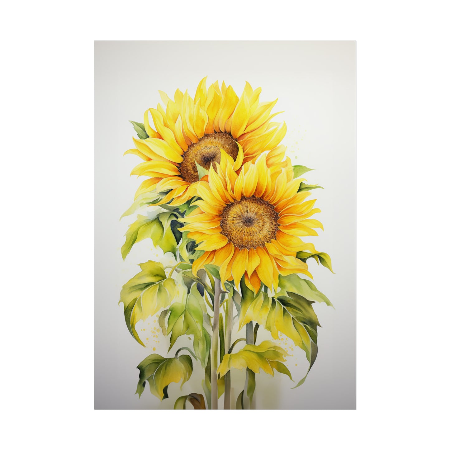 Sunflowers