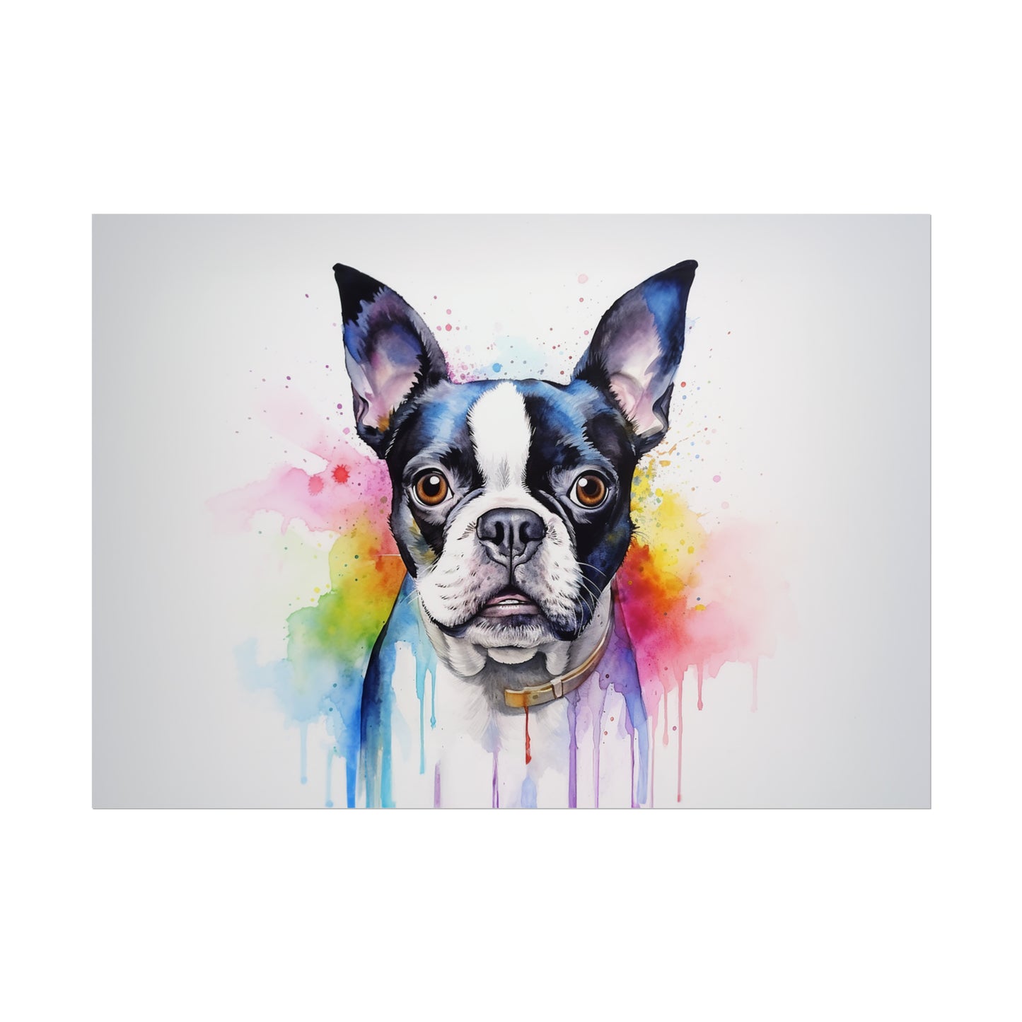 Rainbow Boston Terrier