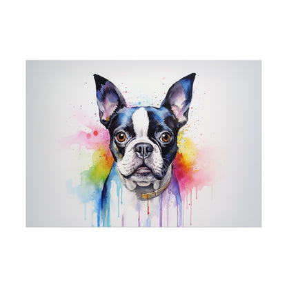 Rainbow Boston Terrier