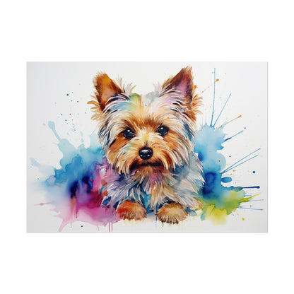 Rainbow Yorkshire Terrier