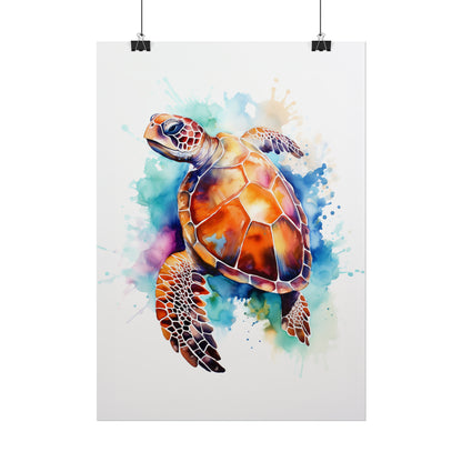 Rainbow Turtle