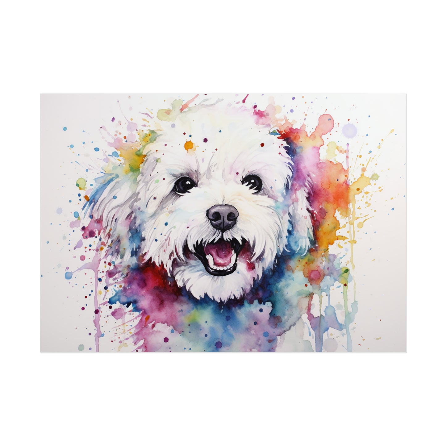 Rainbow Bichon Frisé