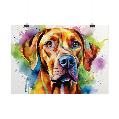 Rainbow Rhodesian Ridgeback