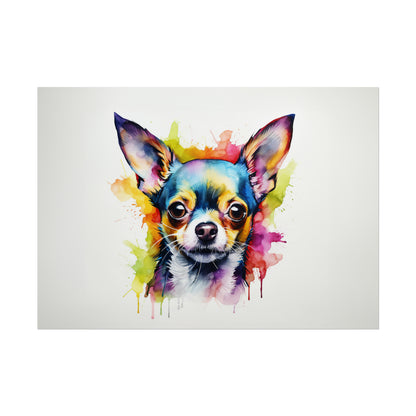 Rainbow Chihuahua