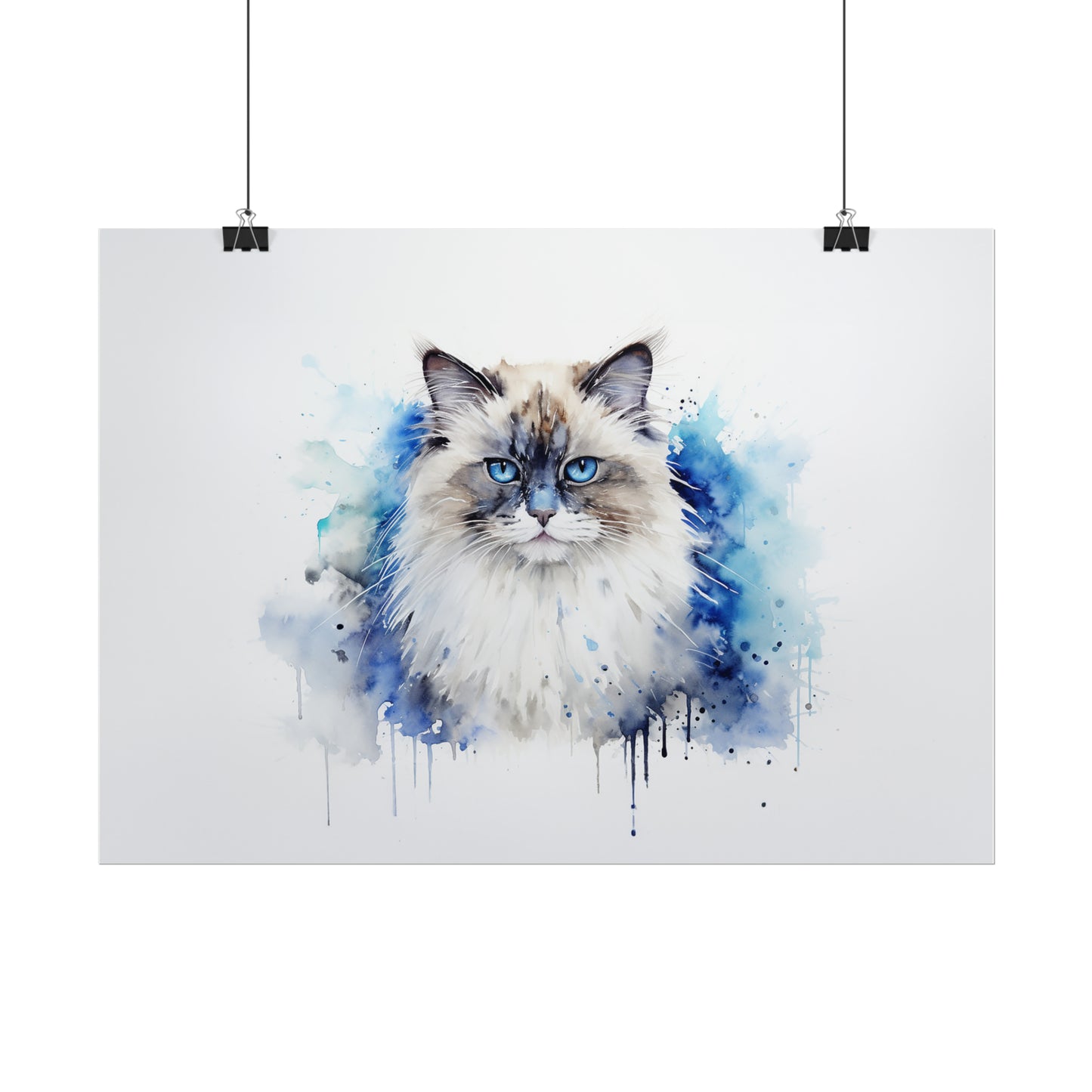 Rainbow Birman Cat