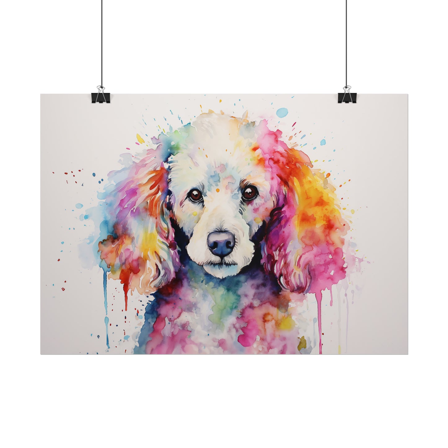 Rainbow Poodle