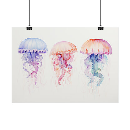 Rainbow Jellyfish