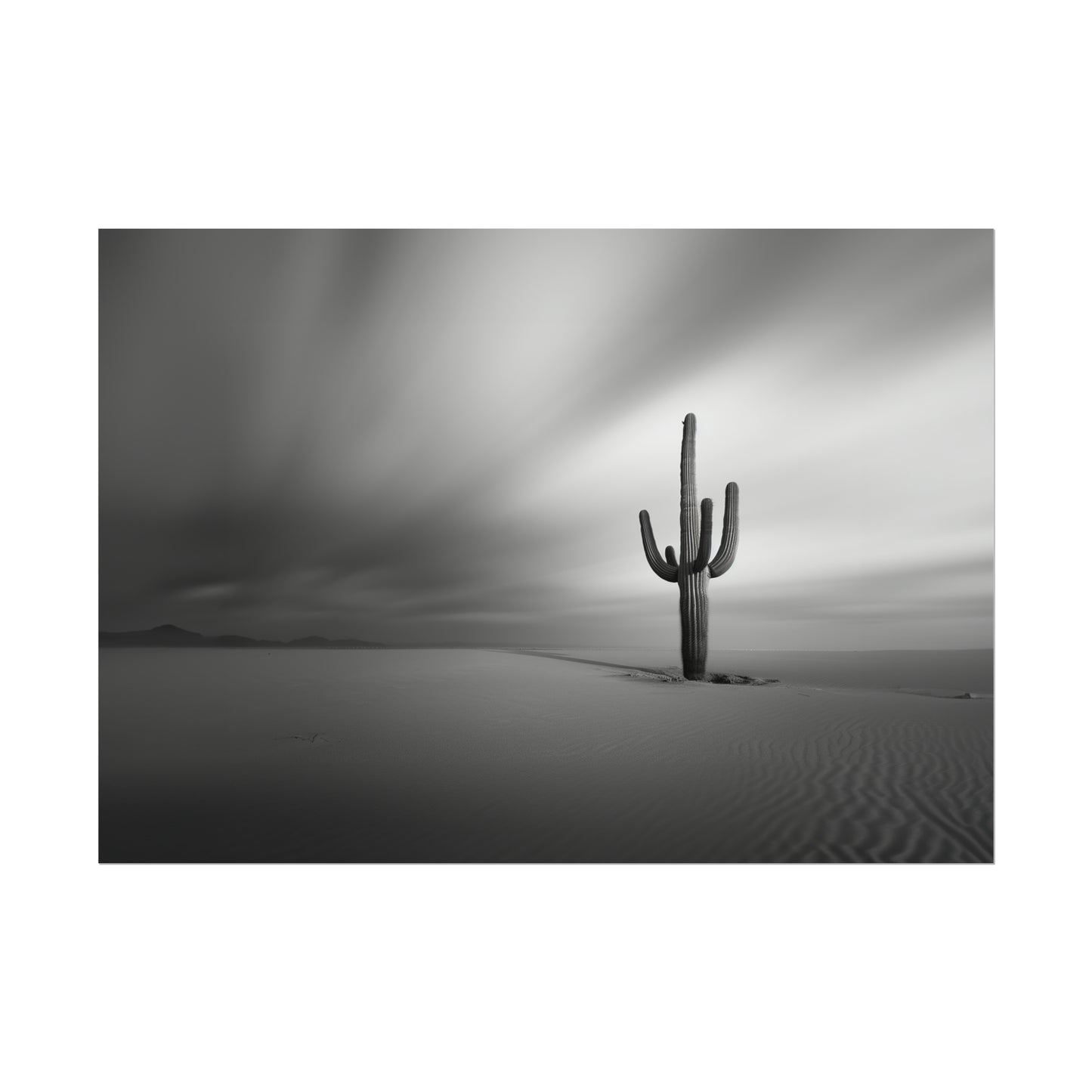 Black and White Cactus