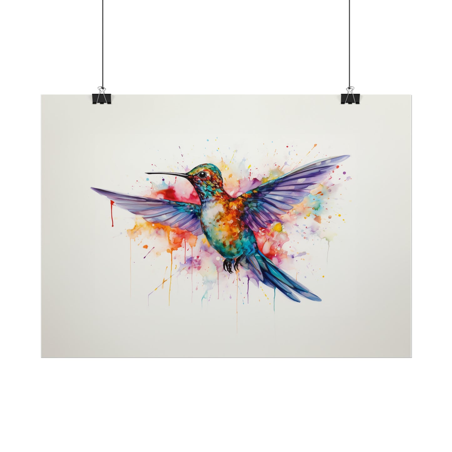 Rainbow Hummingbird