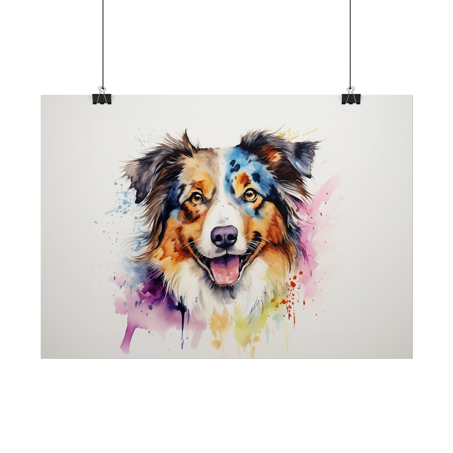 Rainbow Australian Shepherd