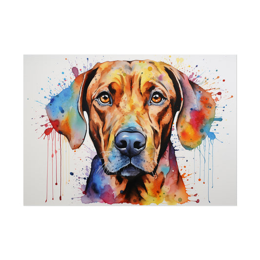 Rainbow Rhodesian Ridgeback