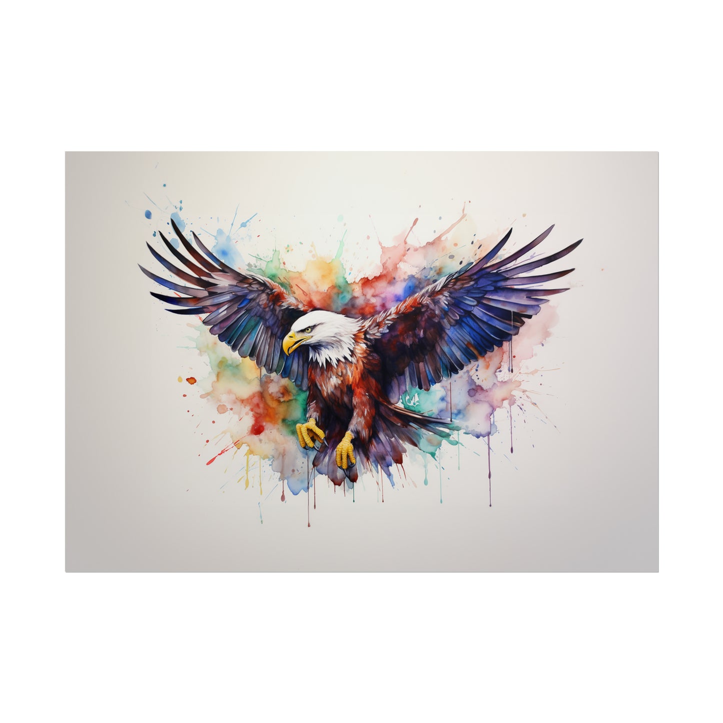 Rainbow Bald Eagle