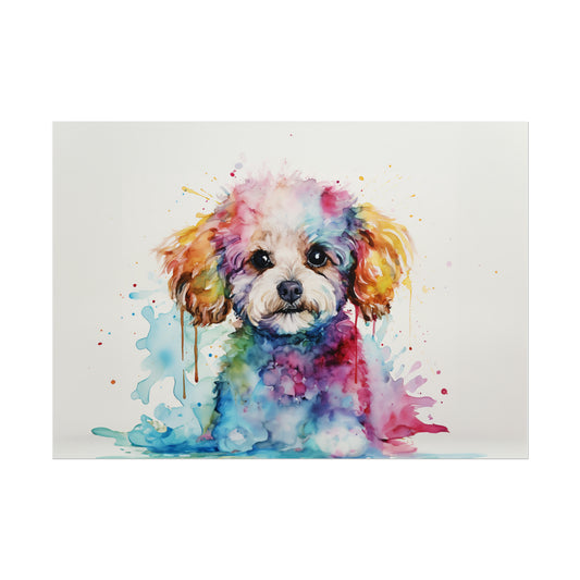 Rainbow Toy Poodle