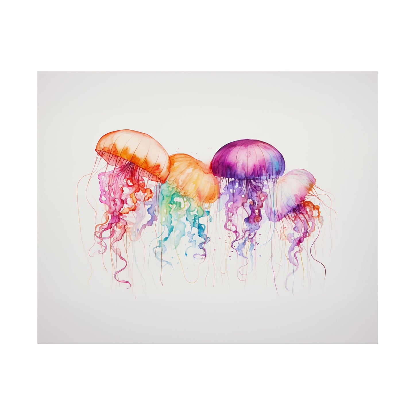 Rainbow Jellyfish