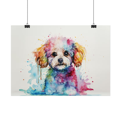 Rainbow Toy Poodle