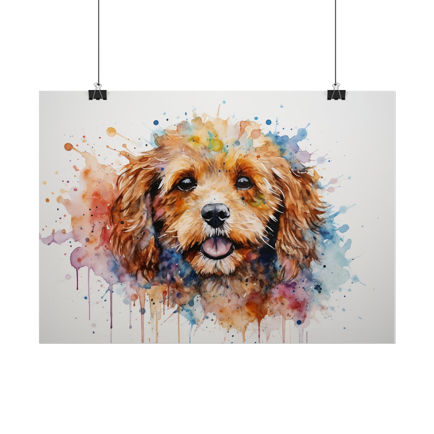 Rainbow Cavapoo