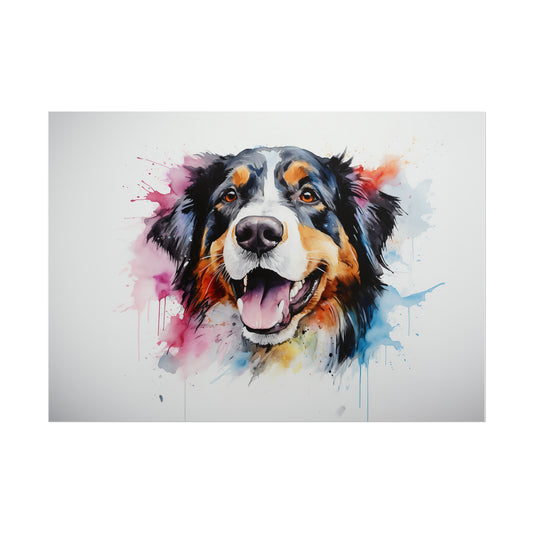 Rainbow Bernese Mountain Dog