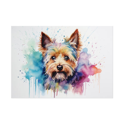 Rainbow Yorkshire Terrier