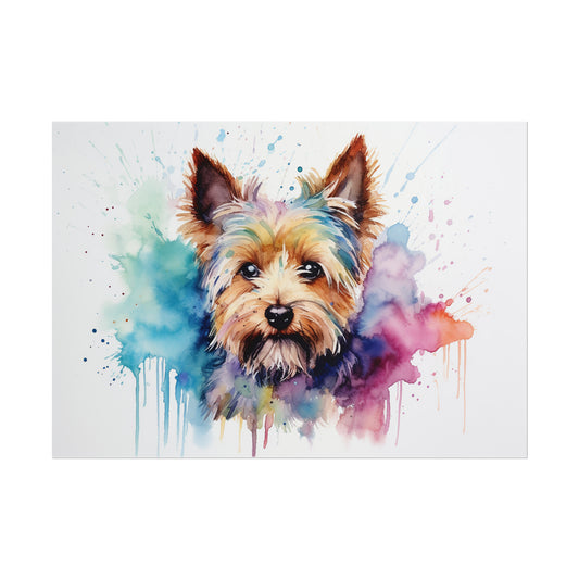 Rainbow Yorkshire Terrier