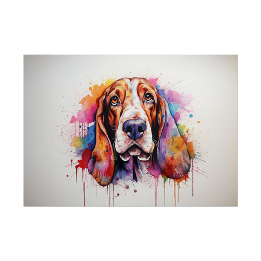 Rainbow Basset Hound