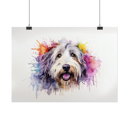 Rainbow Old English Sheepdog