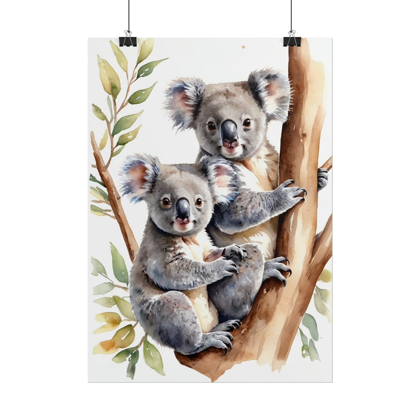 Koala Cuddles