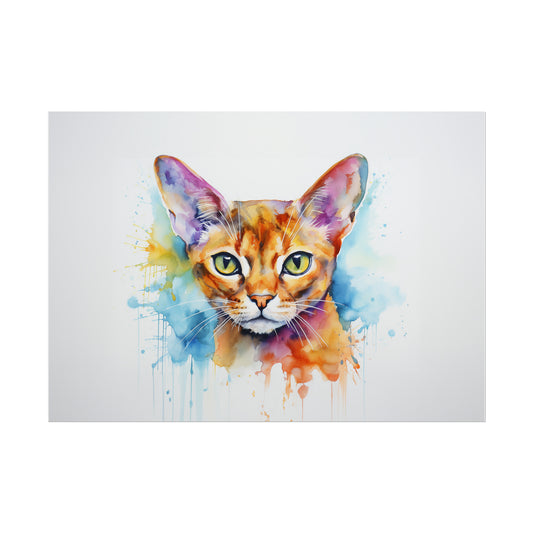 Rainbow Abyssinian Cat