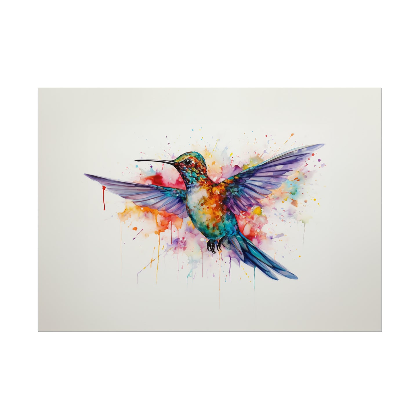 Rainbow Hummingbird