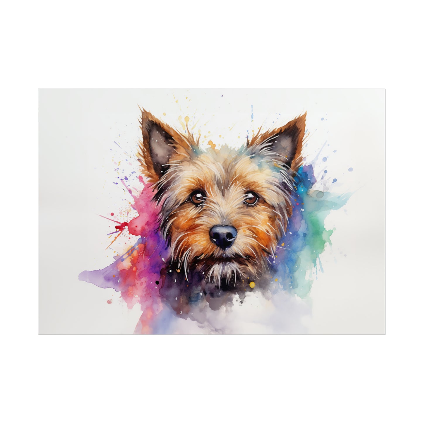 Rainbow Australian Terrier