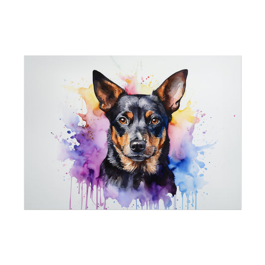 Rainbow Kelpie