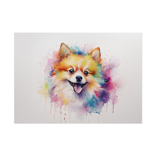 Rainbow Pomeranian