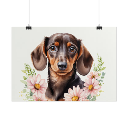 Dachshund with Daisies