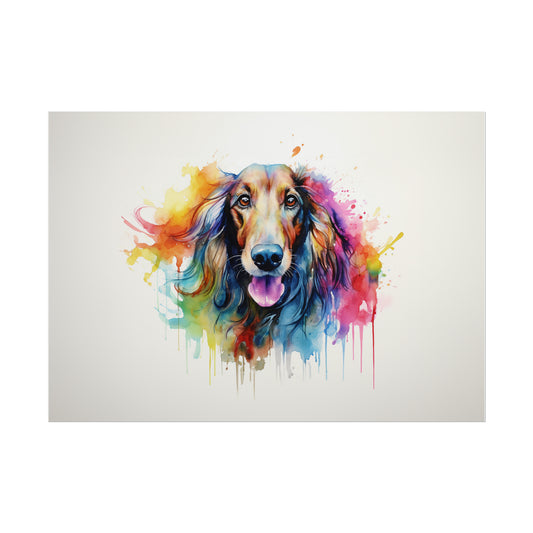 Rainbow Afghan Hound