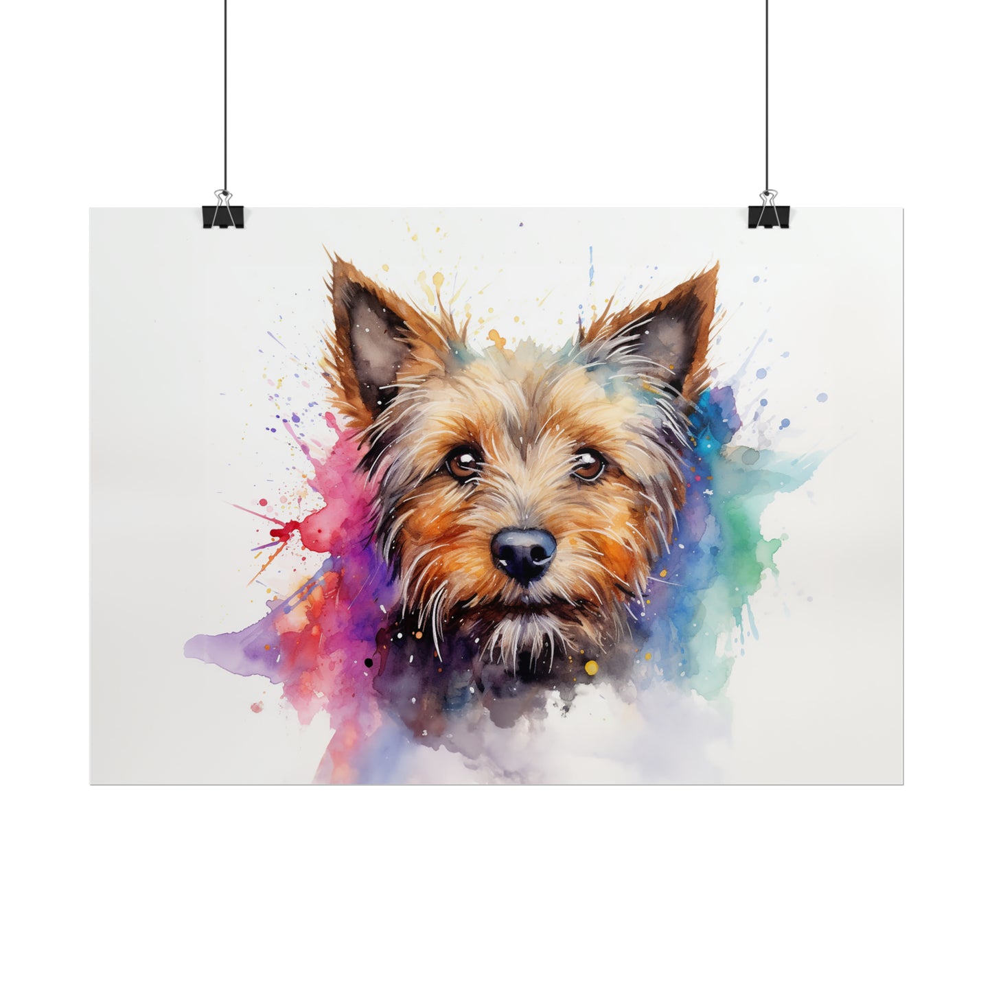 Rainbow Australian Terrier